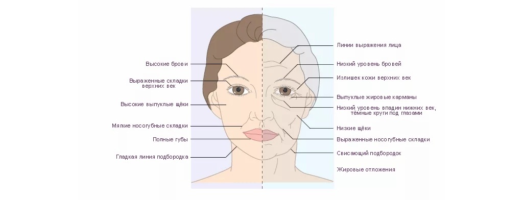 Особенности кожи после 30 лет