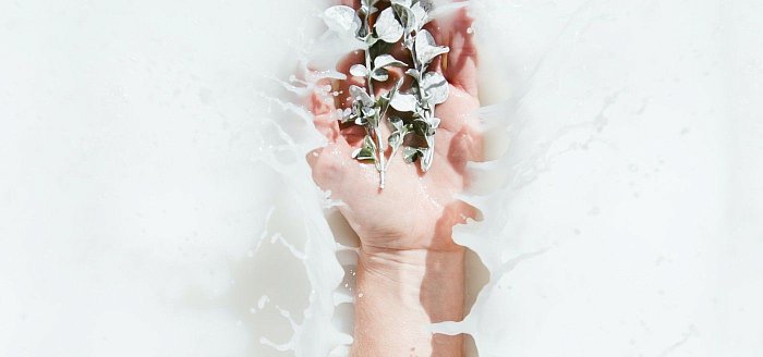 Полезные ингредиенты